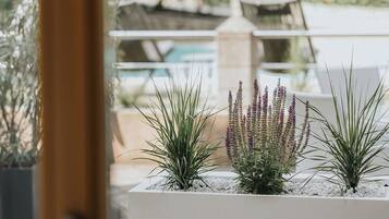 Eine Terrassenanlage mit weißen Pflanzkübeln, Bepflanzung, einem Pool und Gartenmöbeln.
