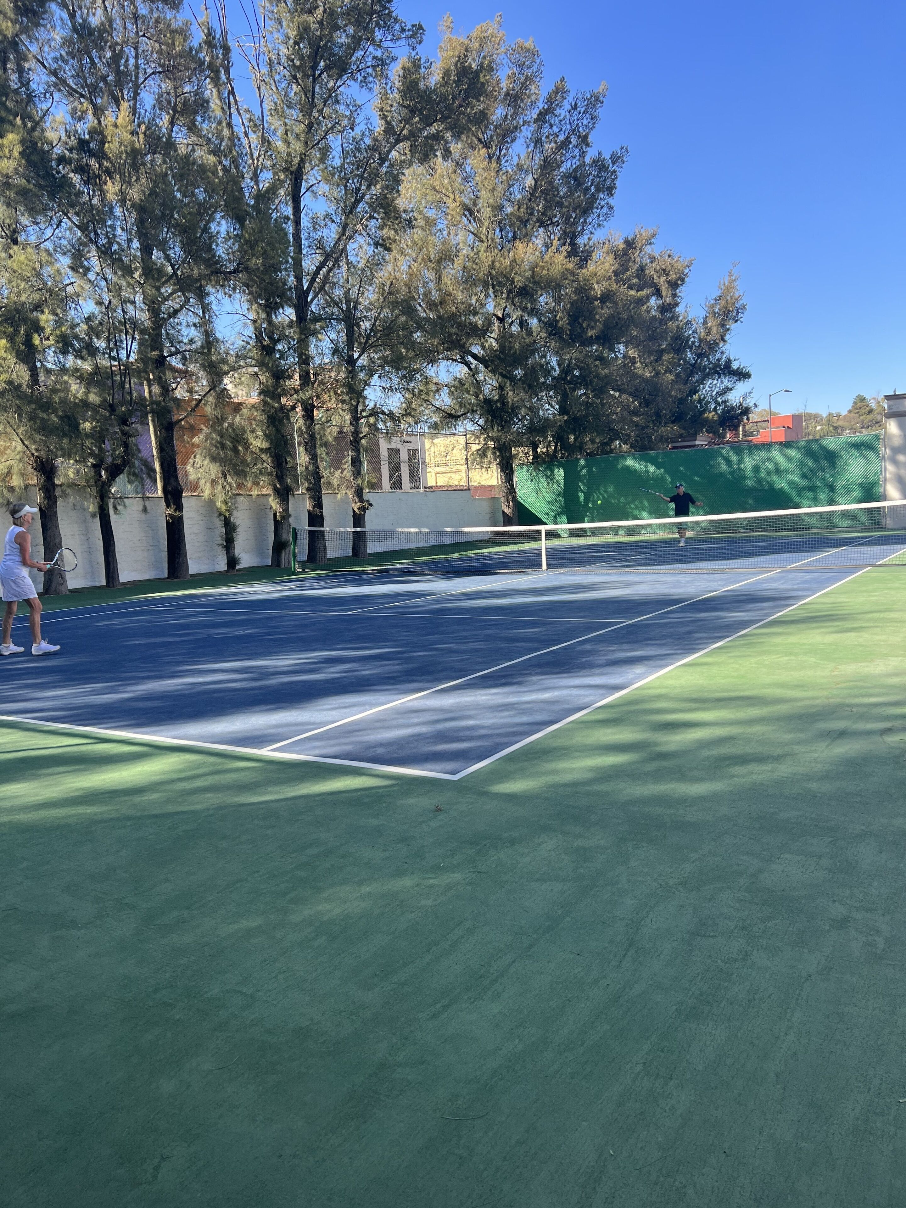 An outdoor tennis court with a net, surrounded by trees and a green fence.
