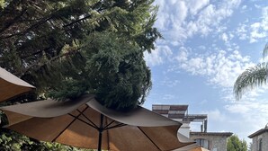 Un patio al aire libre con mesas y sillas bajo grandes sombrillas, rodeado de vegetación y edificios de piedra.