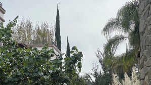 Un sendero que conduce a un edificio de fachada blanca y pared de piedra.