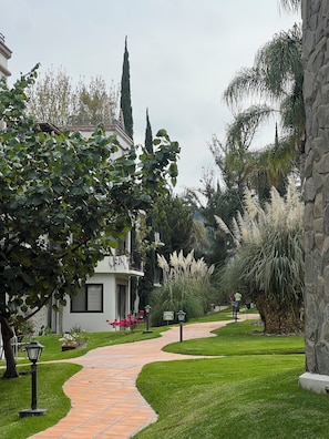 Garden view - Suites Casa Mateo San Miguel Allende (San Miguel de Allende)