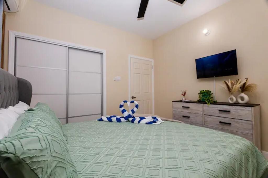 Une chambre à coucher avec un lit, une télévision, une commode et un placard.