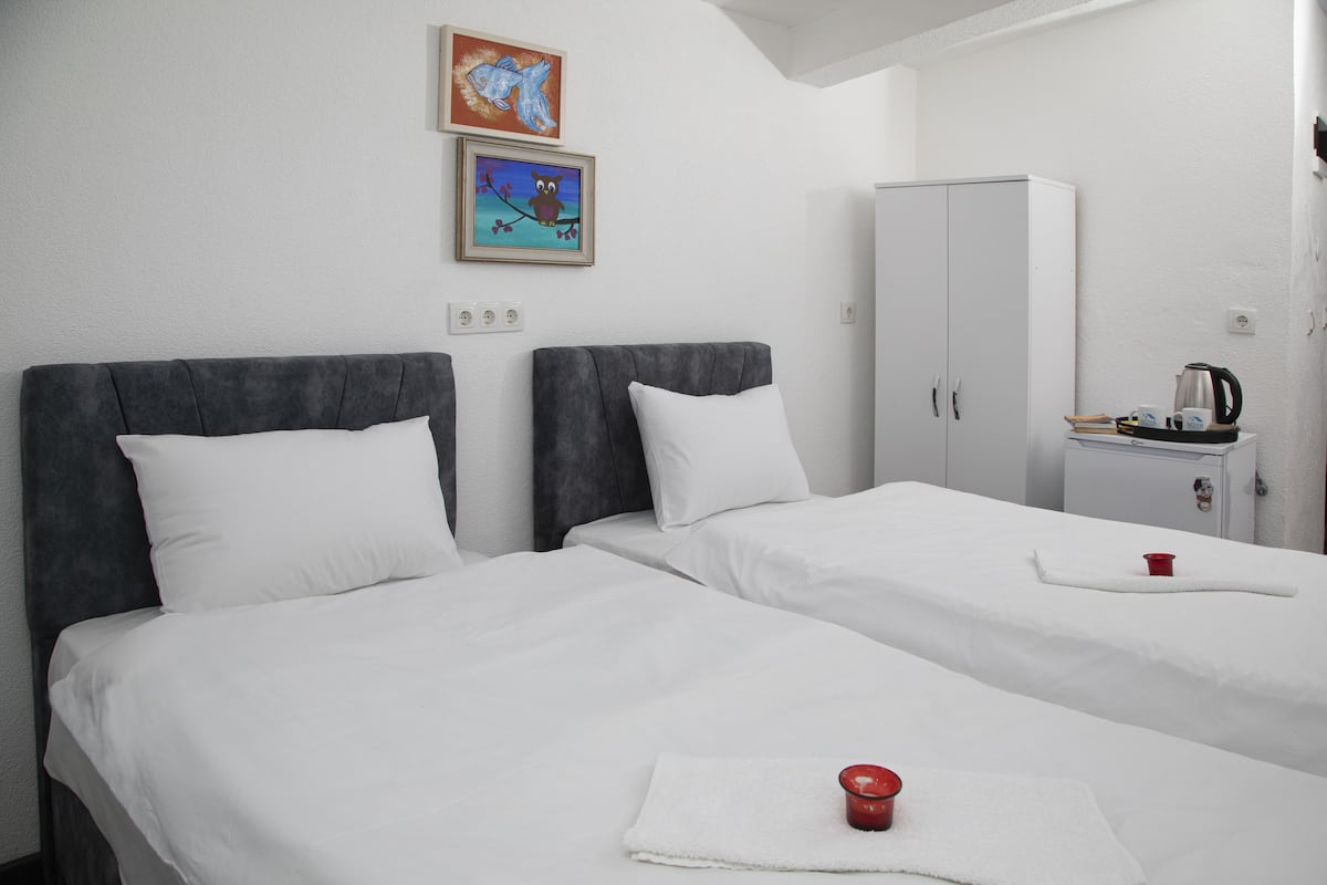 Basic Twin Room