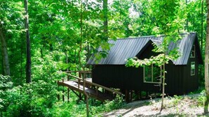A cabin in a forest with a metal roof and wooden deck.