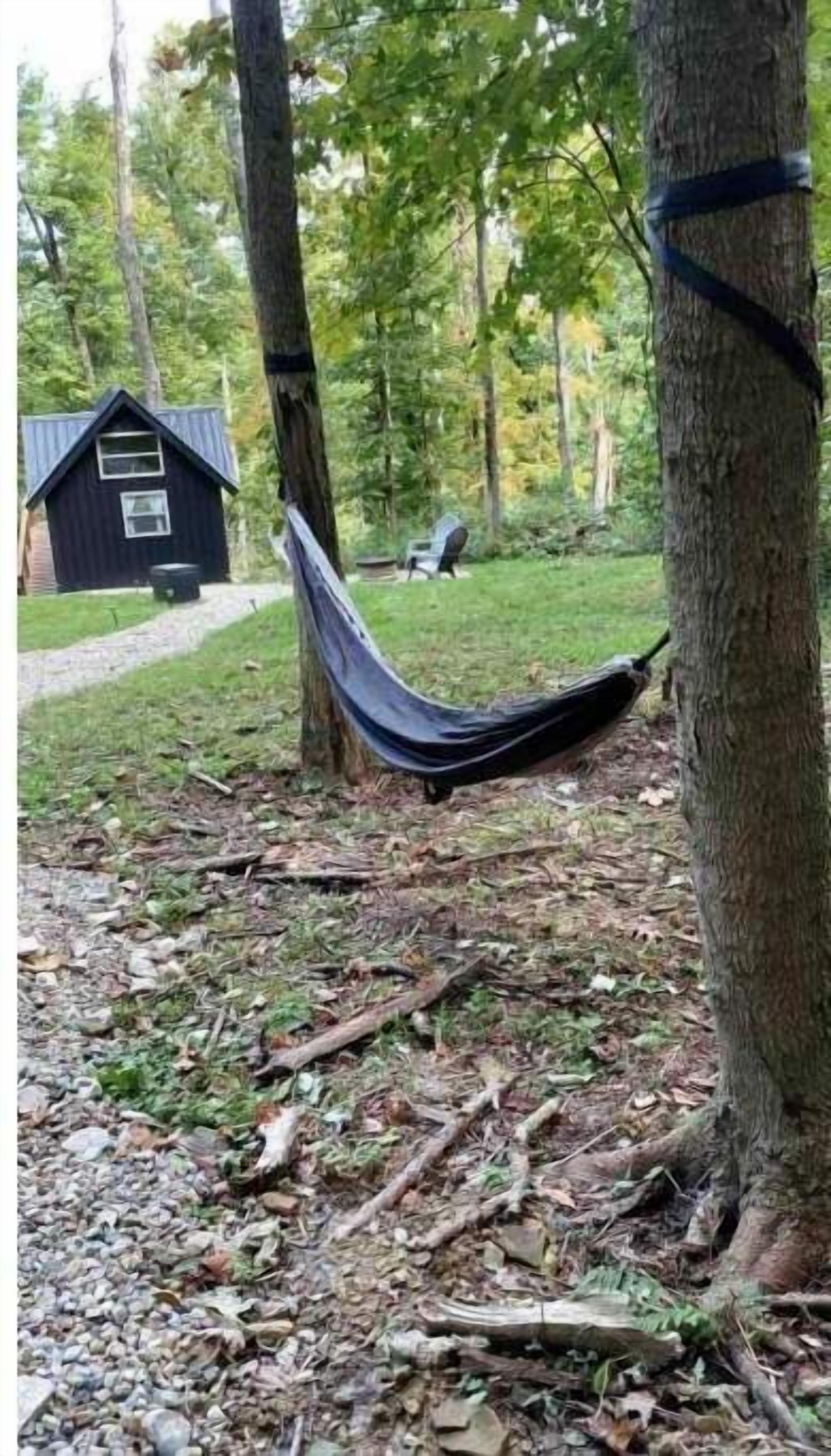 A hammock tied between two trees in a wooded area with a small cabin in the background.