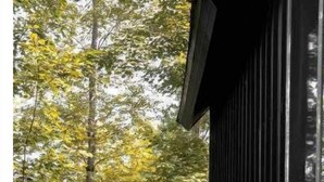 A wooden staircase leading to a cabin surrounded by trees.