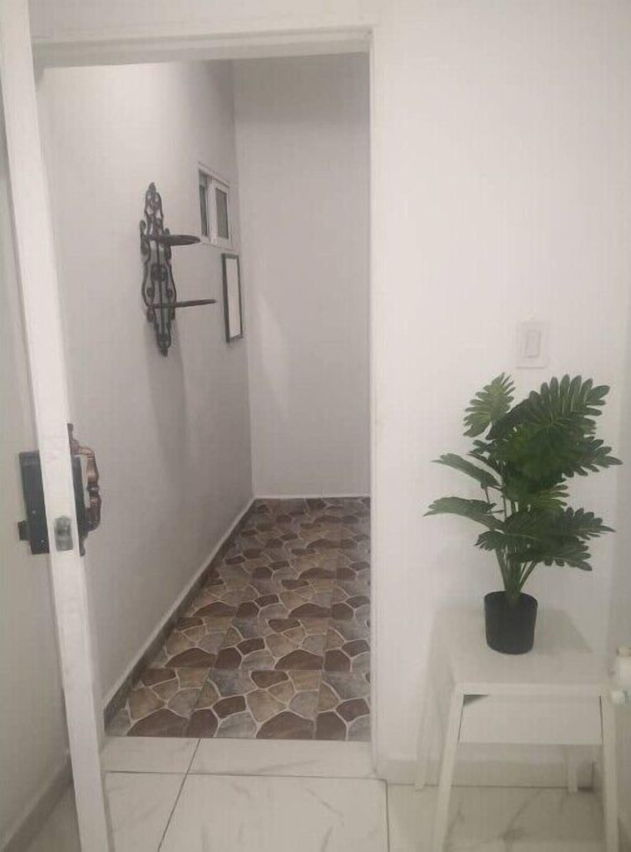 Un couloir étroit doté d’un sol imitant le motif de la pierre, une plante en pot posée sur une petite table et un luminaire fixé au mur.