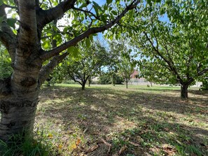 Property grounds - Maison des Abeilles (Sablet)