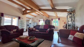 TV connectée, cheminée, livres, chaßne hi-fi