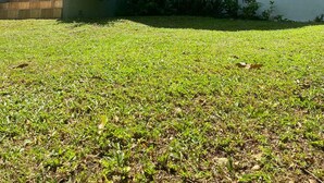 A two-story building with a balcony, large arched windows, and a well-maintained lawn. - Lachemar Guest House (Ocho Rios)