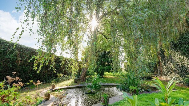 Een rustige tuin met een vijver, omringd door weelderige begroeiing en diverse planten.