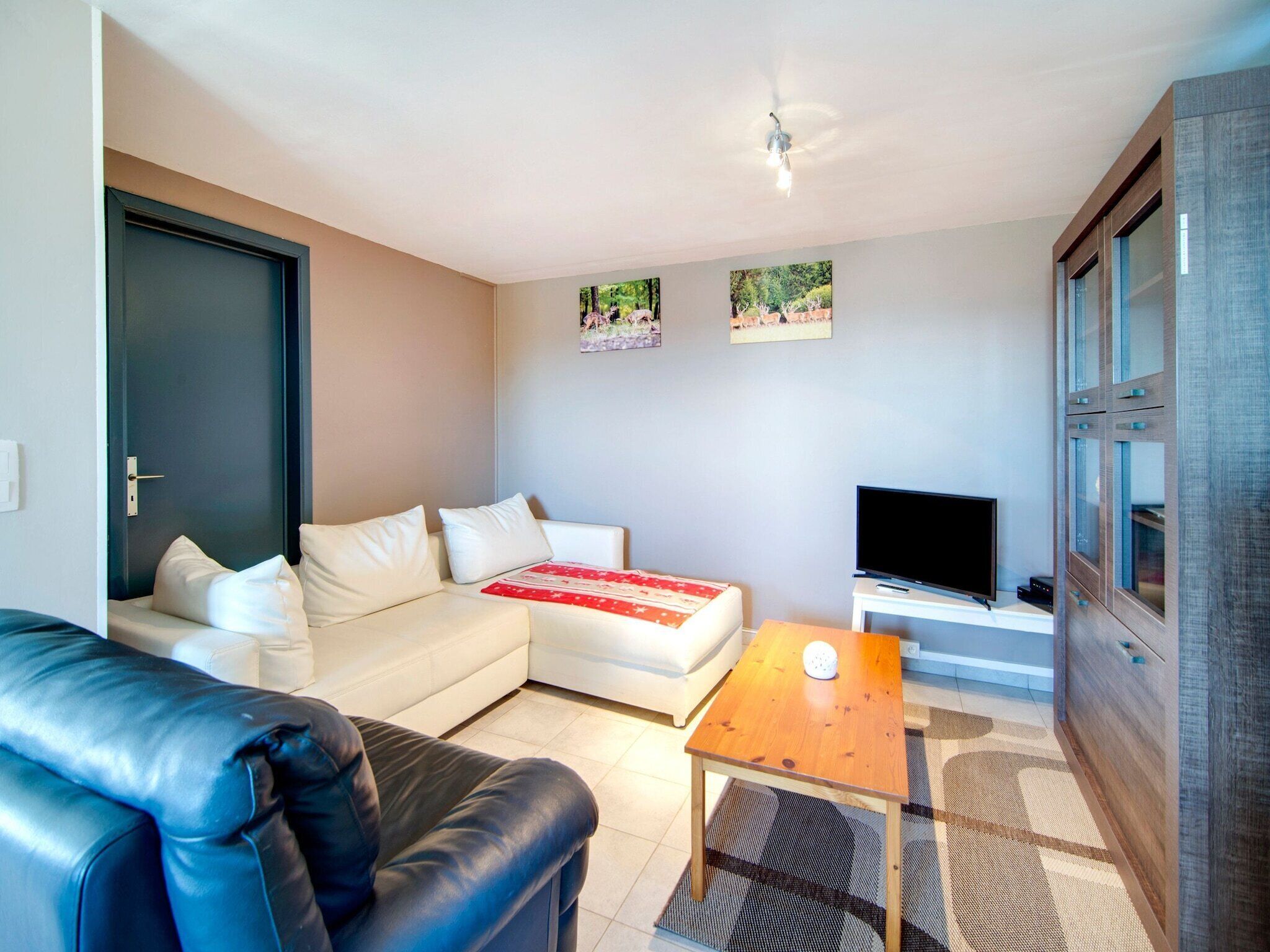 TV, fireplace, table football