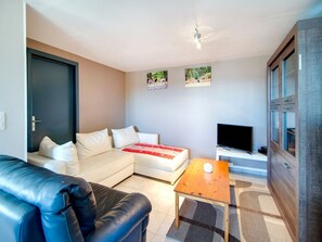 TV, fireplace, foosball