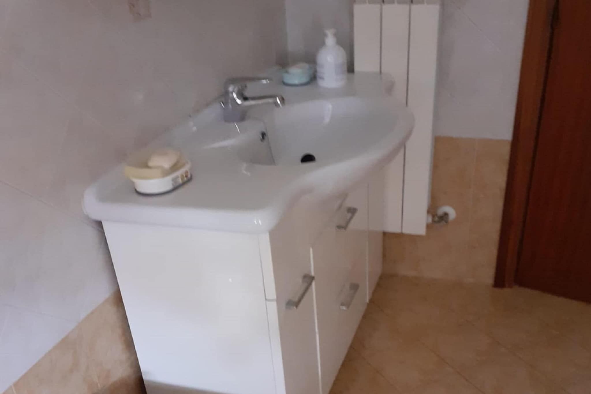 Une salle de bain avec un lavabo blanc, un porte-savon et un flacon de savon liquide.