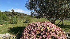 A garden with a large flower bed of pink and yellow flowers, surrounded by rocks and a tree. - Tranquil Villa with Pool (Lézignan-Corbières)