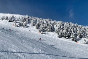 Deportes de invierno y ski