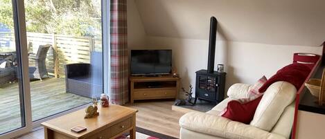 Fernseher, Kamin, DVD-Player