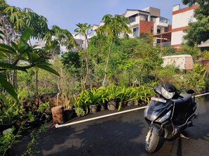 Property grounds - The Pod by the Beach, Beach Front property in the heart of Chennai.  (Chennai)