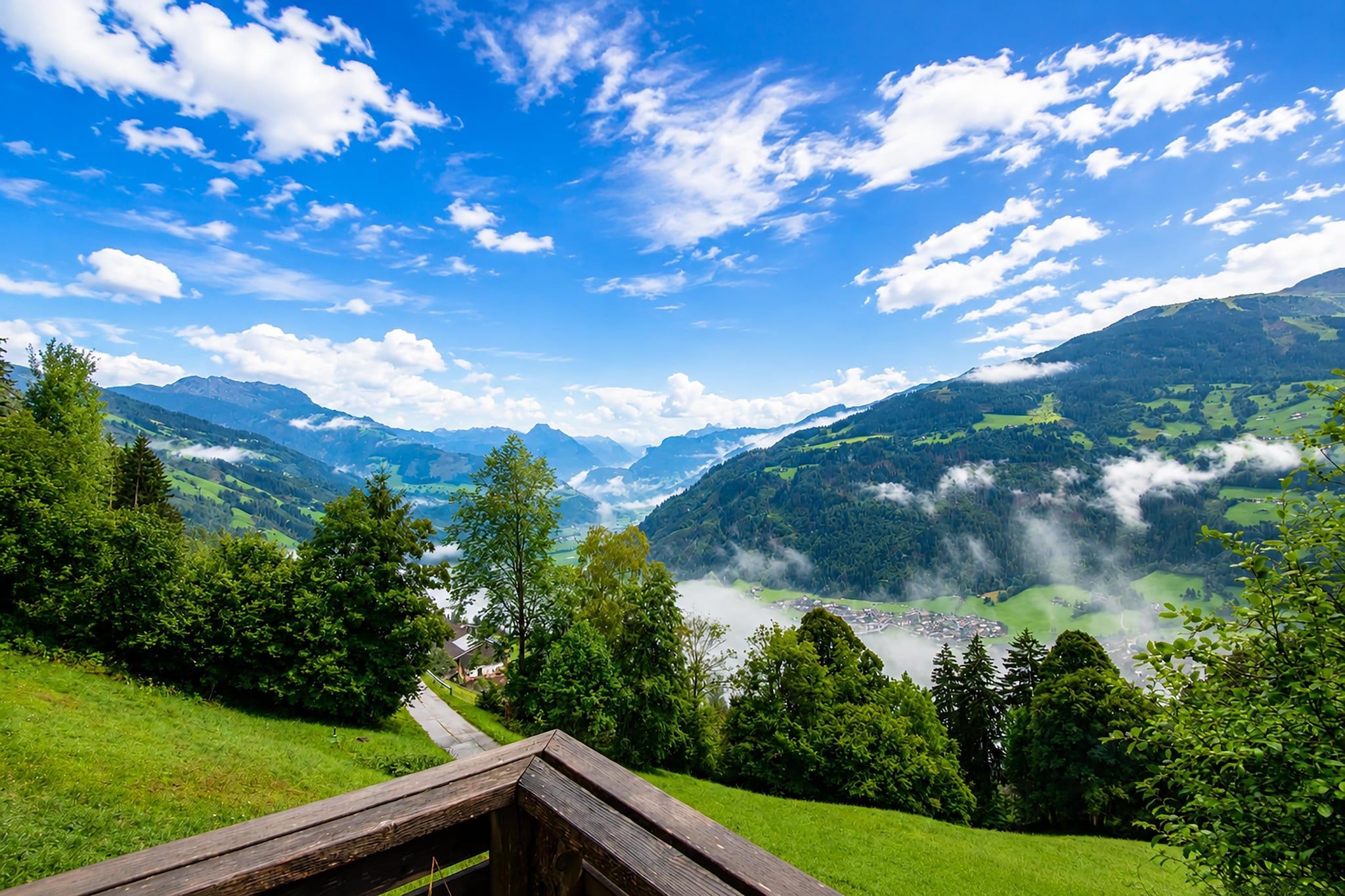 Aussicht vom Ferienhaus [Sommer]