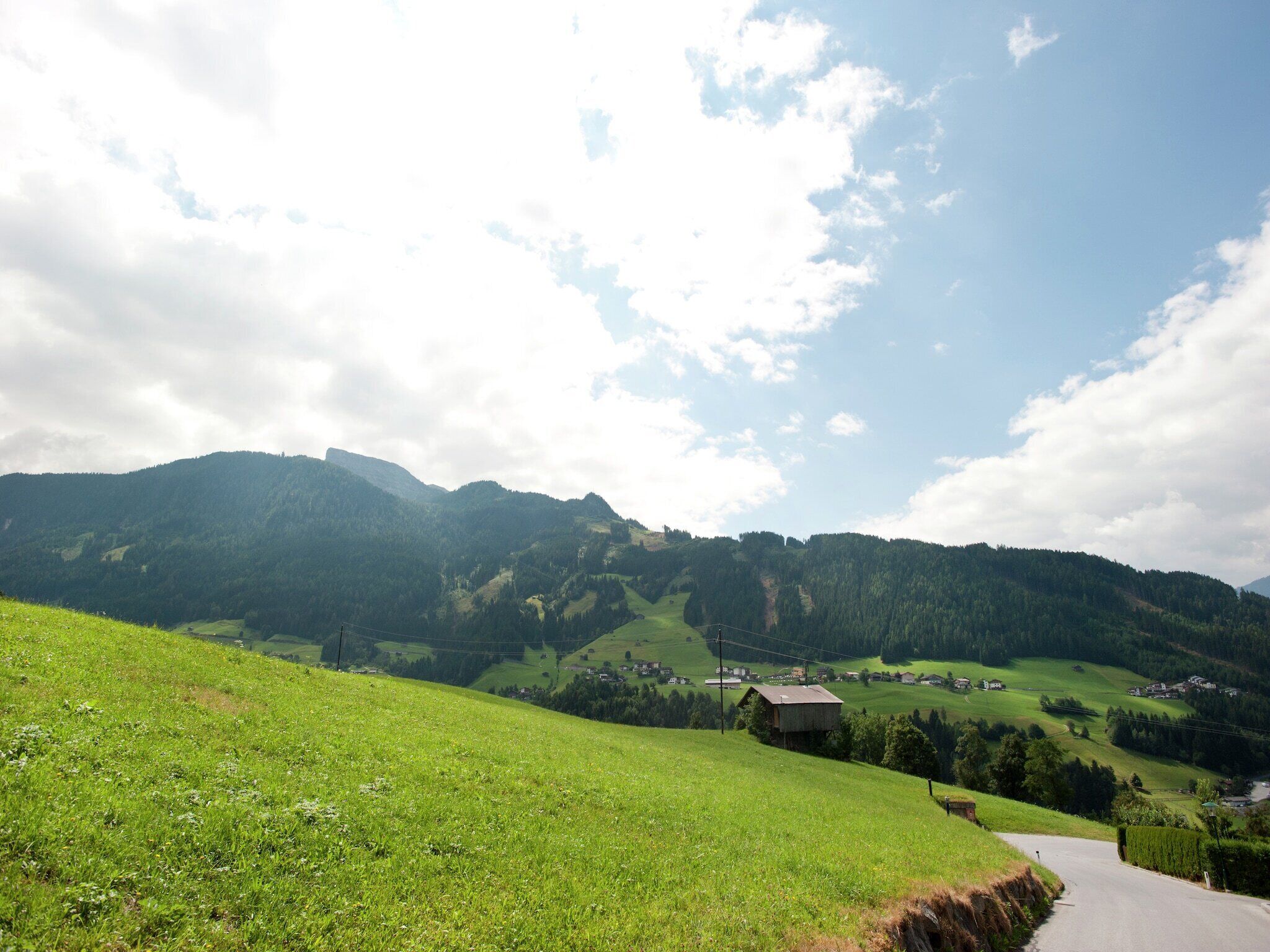 Paesaggio rurale con dolci colline, una strada sinuosa e case sparse.