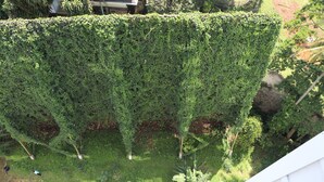 A lush garden with dense foliage and a white building in the background. - Nice And Comfy 1Br At Dago Suites Apartment (Bandung)