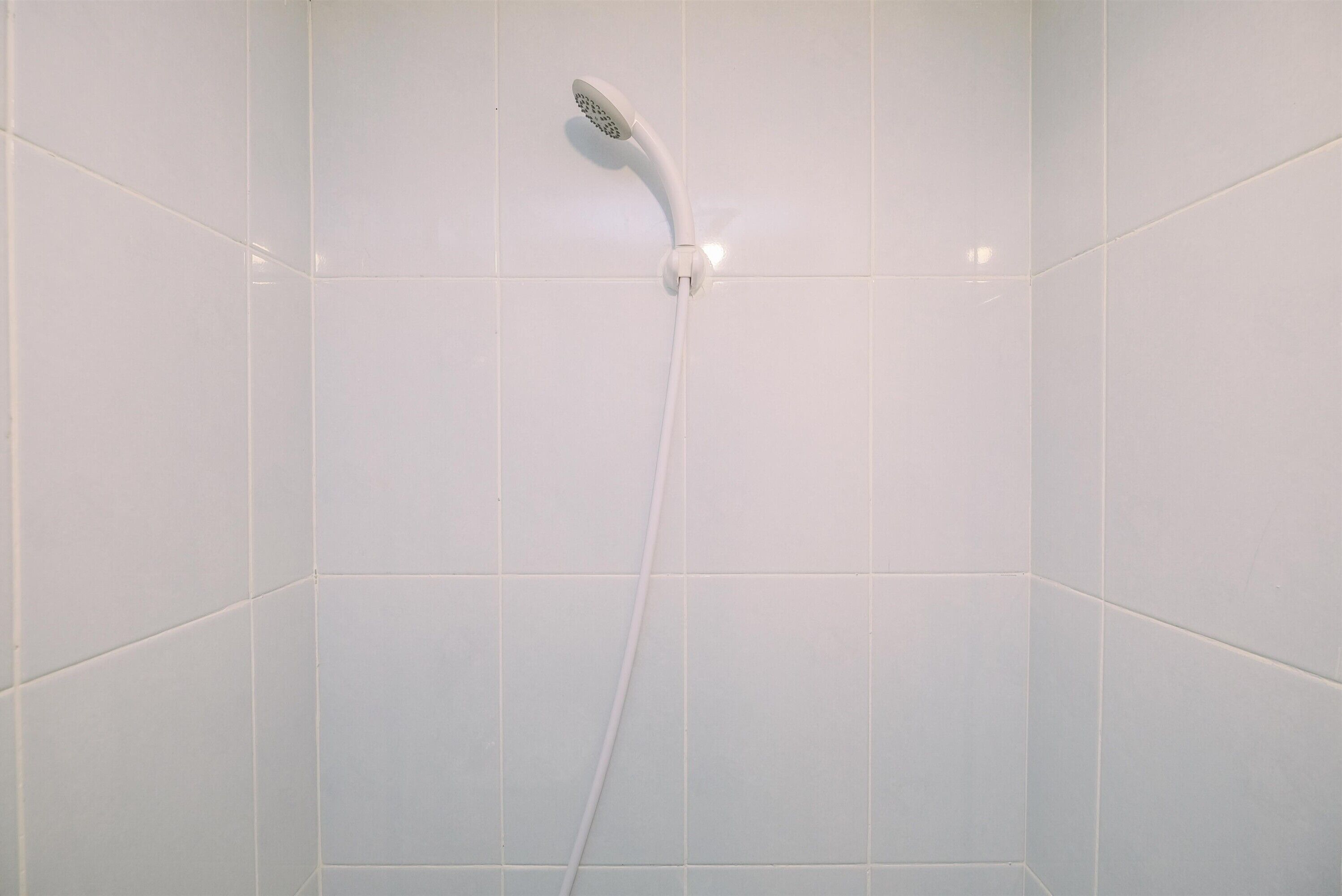 Studio | Bathroom | Shower, free toiletries, towels