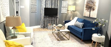 TV connectée, cheminée, lecteur de DVD, livres