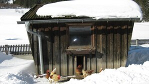 Una estructura rústica de madera con una ventana, rodeada de nieve.