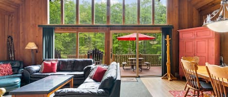 Smart TV, fireplace, video library