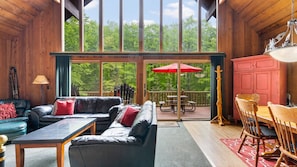 Smart TV, fireplace, video library