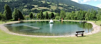 Chalet in Stadl near Kreischberg Ski Slopes