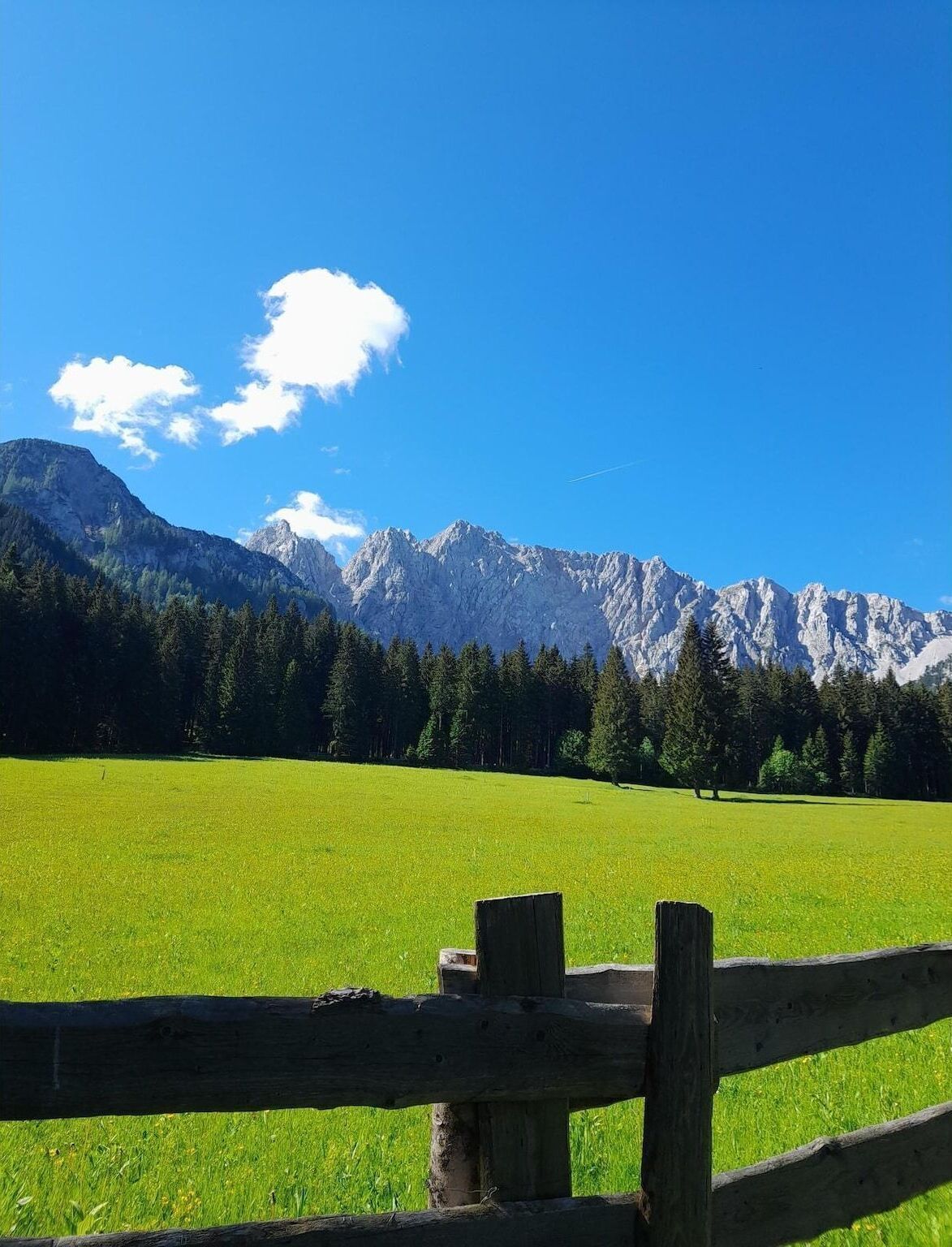 View from Holiday Home [summer]