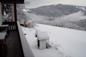 Patio / Balcony