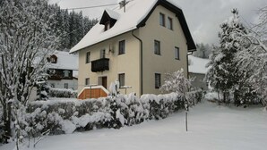 A two-story house with a snow-covered roof and surrounding trees.