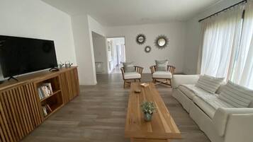 42 inci televisyen skrin rata dengan digital, pendiangan, Netflix