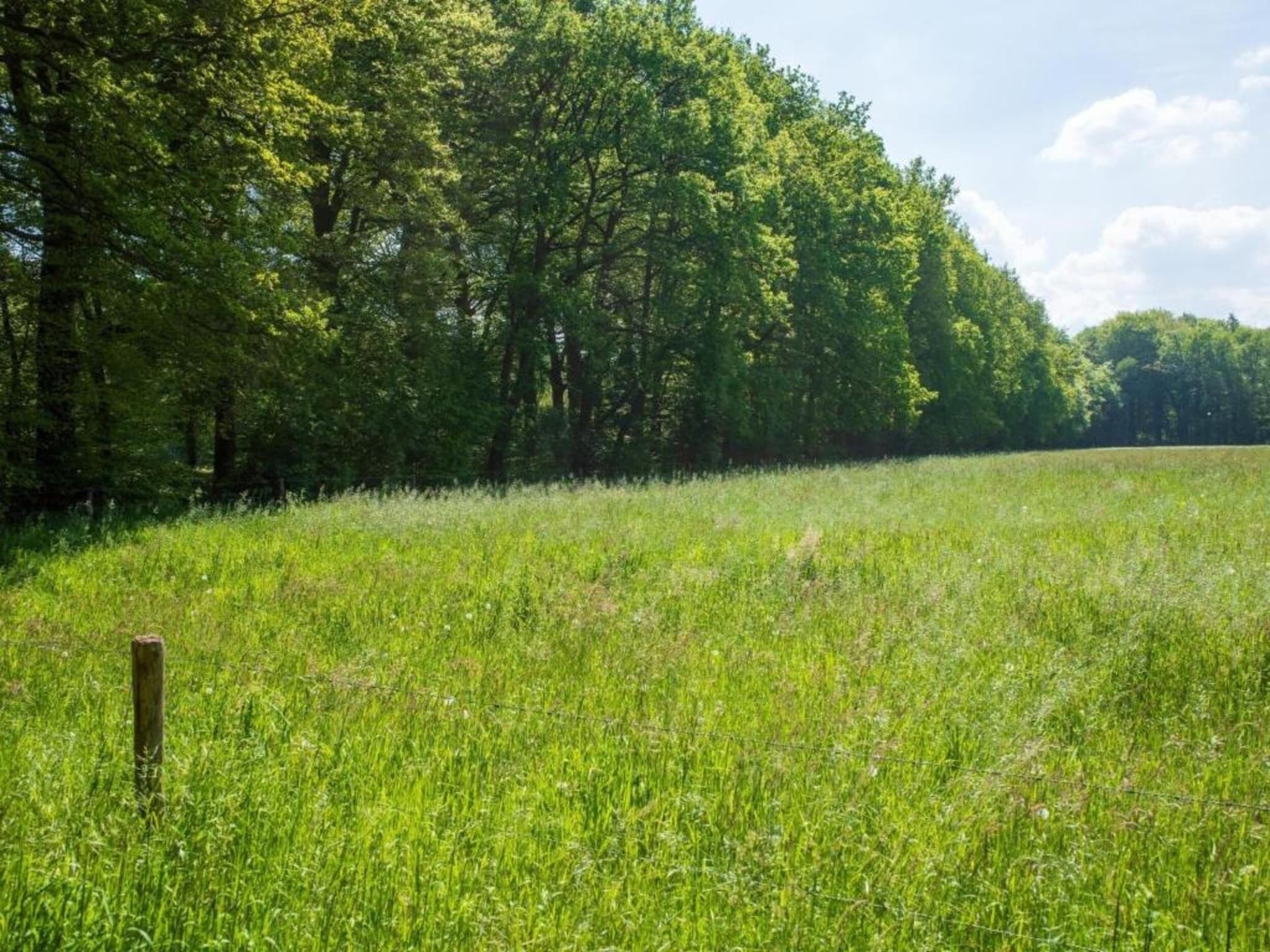 Dans la région [été] (>5 km)