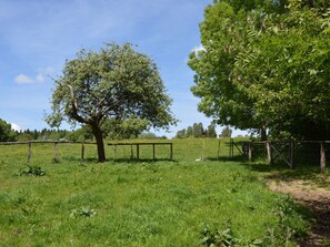 Property grounds - Family Villa in Ferrières (Ferrieres)