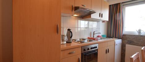 Fridge, oven, stovetop, dishwasher