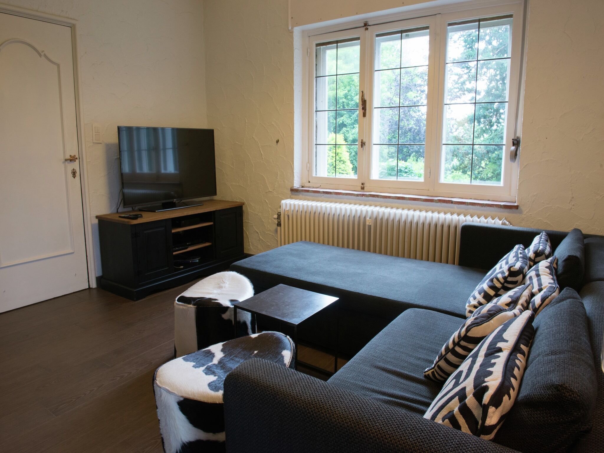 A room with a bed, a television on a stand, a radiator, a window with a view of trees, and a door.