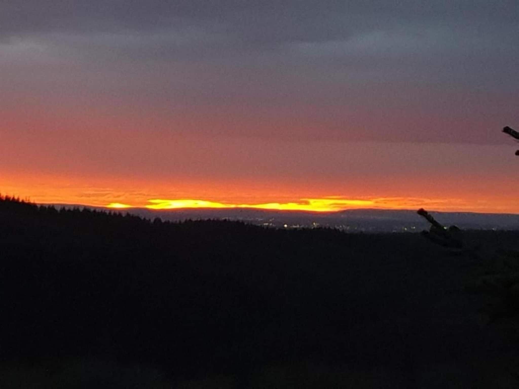 Un coucher de soleil sur un paysage boisé, avec une vue dégagée sur l’horizon.