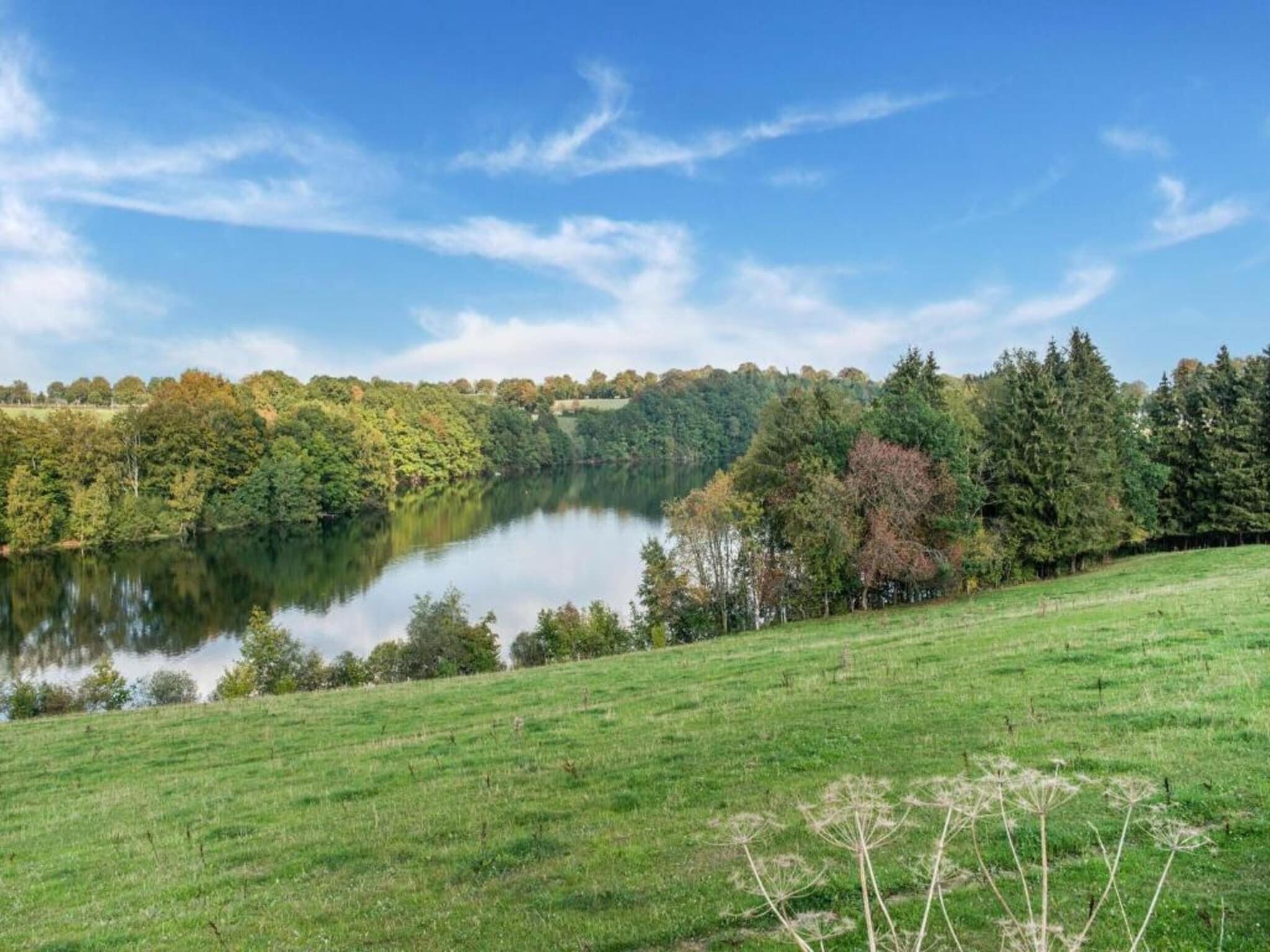 Eine friedliche Seenlandschaft mit einer grünen Vordergrundwiese, Bäumen und blauem Himmel.