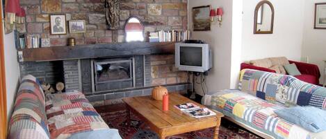 A cozy living room with a fireplace, a television, and a patterned rug.