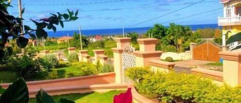 A residential area with a well-maintained garden, a clear blue sky, and a view of the ocean.
