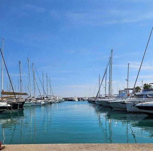 Marina