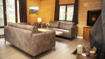 Télévision, cheminée