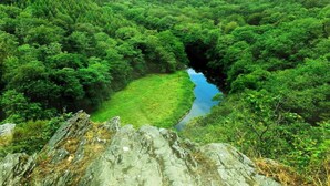 Een weelderig groen dal met een rivier, omgeven door dicht bos en rotsachtig terrein.