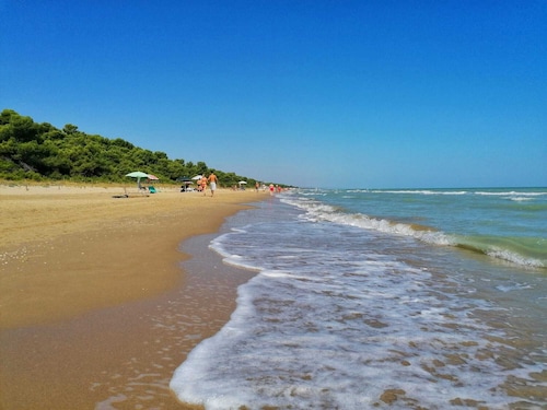 Cosy house in a small borgo surrounded by Italian olive orchards w mountain view