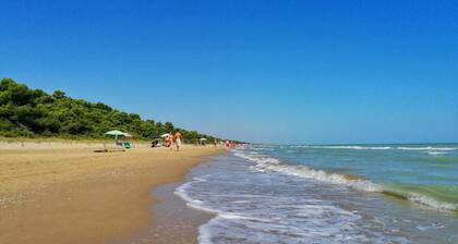Cosy house in a small borgo surrounded by Italian olive orchards w mountain view