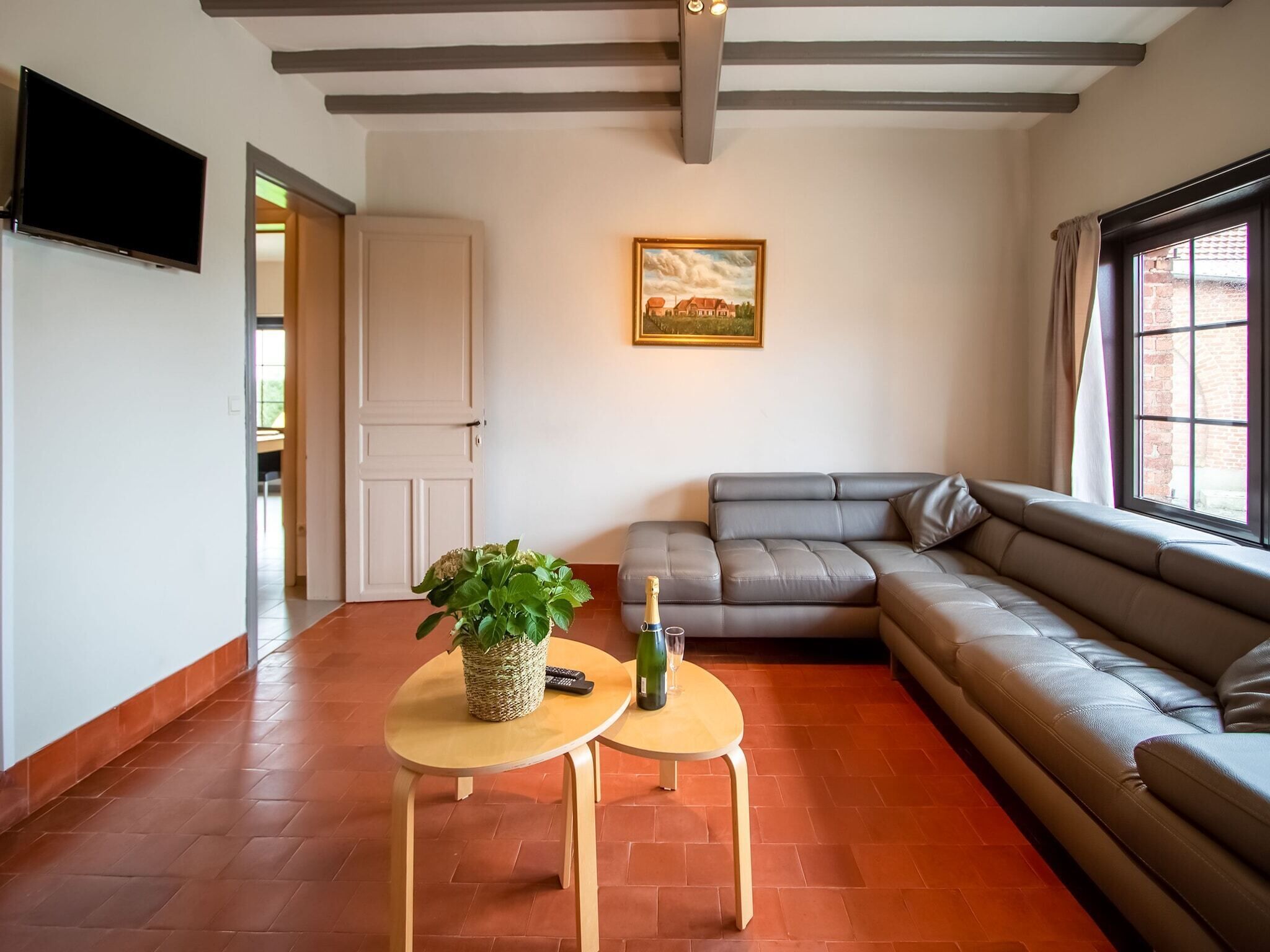 تلفزيون، مشغل دي في دي