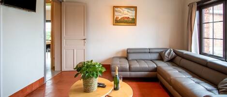 Fernseher, DVD-Player